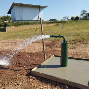 soares-ambiental-galeria (9)